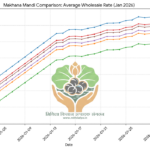 Wholesale Makhana Price Trends February 2026 | Daily Makhana Rates