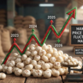 Makhana Price Trends 2025-2026: When is the Best Time to Buy in Bulk?