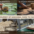 From Mud to Superfood: The Untold Journey of Mithila Makhana